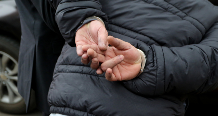 Cinco extranjeros ilegales en Valdivia y un detenido por hurto