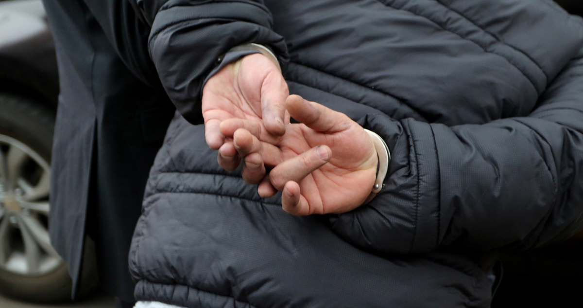 Cinco extranjeros ilegales en Valdivia y un detenido por hurto