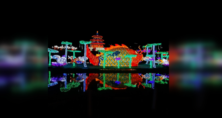 Contraloría terreno fiscal Fesiluz