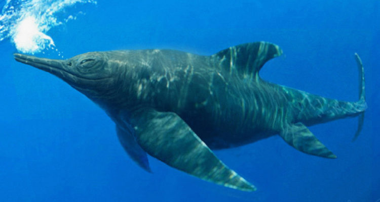 Fósil-de-un-ictiosaurio