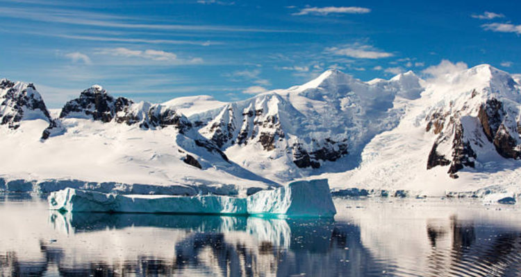 bacterias-en-la-antártica