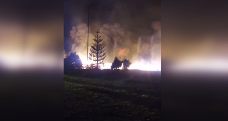 Incendio de vivienda en fundo tomado por comunidad pehuenche en Alto Bío Bío.