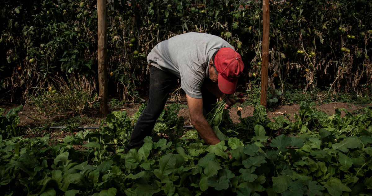 Futuro de nuestra agricultura