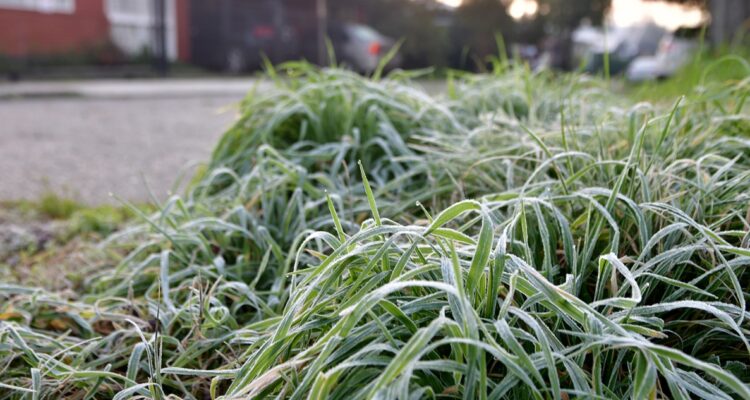 Heladas en Los Ríos