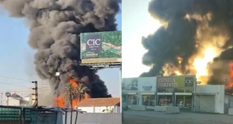 Incendio en empresa de colchones en Maipú