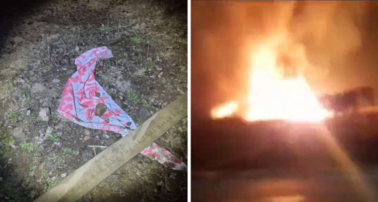 Lienzo en incendio de Victoria-Curacautín