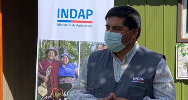 Suspenden a director del Indap en Los Ríos