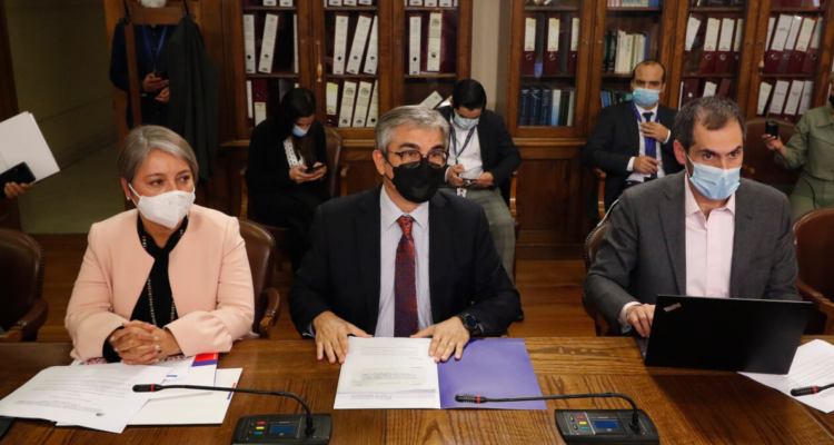 ingreso minimo garantizado