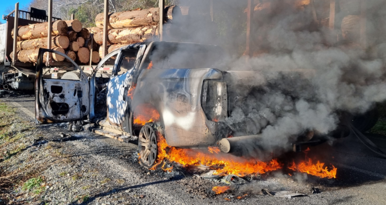 la violencia sin fin