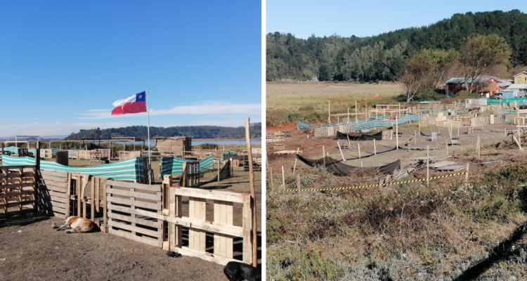 Dueños de predio tomado en Lenga exigen solución y que autoridades no se traspasen responsabilidades