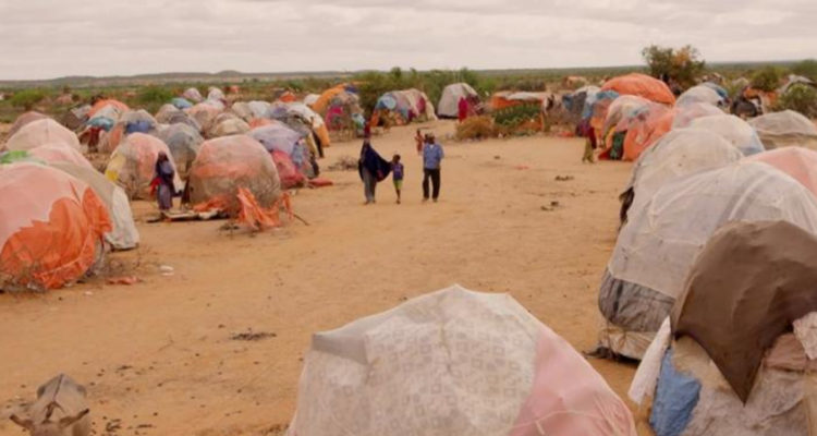 Cifra récord: más de 59 millones de personas fueron desplazadas por guerras y desastres durante 2021