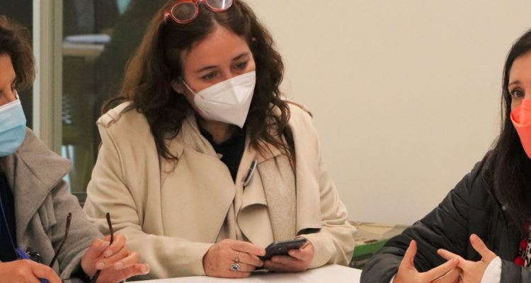 Ministra de Salud María Begoña Yarza