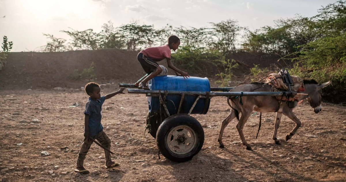 Etiopía: cómo la peor sequía "jamás vivida" destroza las vidas de las familias nómadas