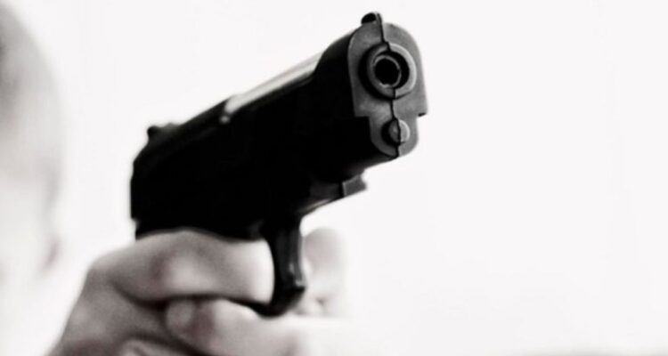 En Ñuble hay un arma por cada 18 personas: 4 mil de ellas no están regularizadas