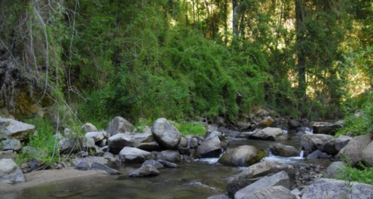 día de los patrimonios
