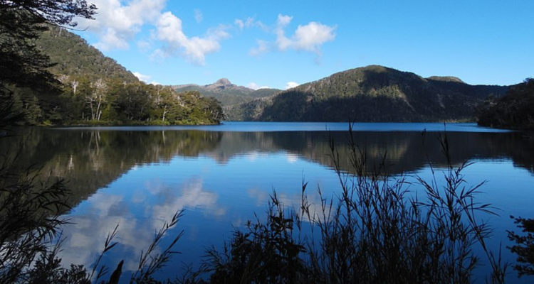 SEA Los Lagos cuenta con 33 días para definir futuro de proyecto inmobiliario en Parque Puyehue