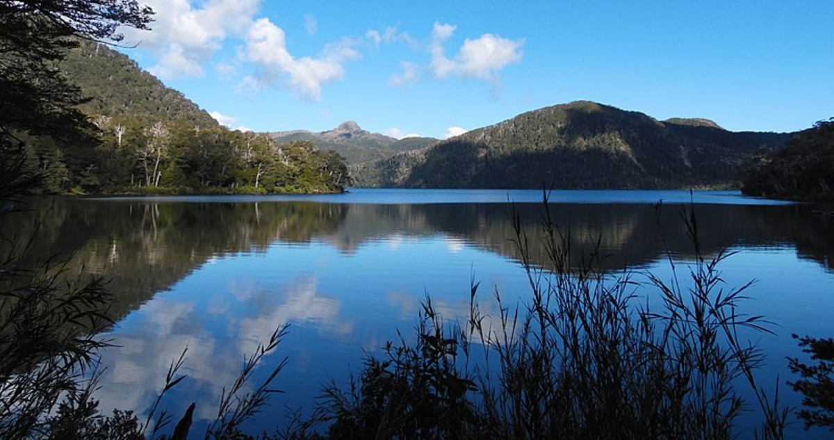 SEA Los Lagos cuenta con 33 días para definir futuro de proyecto inmobiliario en Parque Puyehue