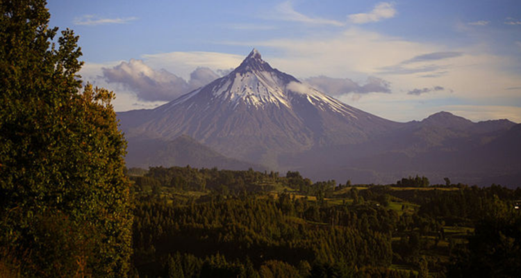 Conaf afirma que proyecto inmobiliario en Parque Puyehue transgrede Convención de Washington