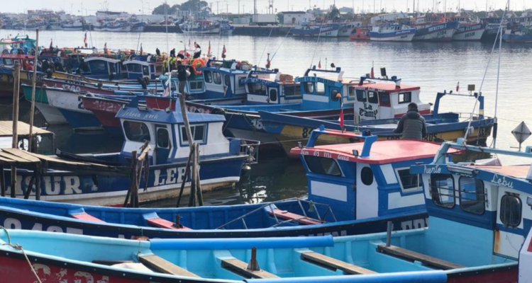 búsqueda pescadores en Lebu
