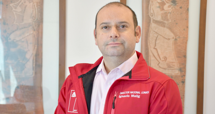 Gobierno pide renuncia de Ignacio Malig