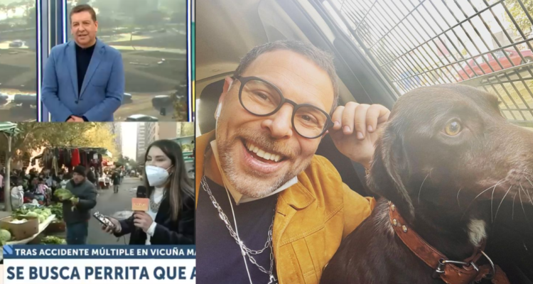 Búsqueda de Popy en los matinales