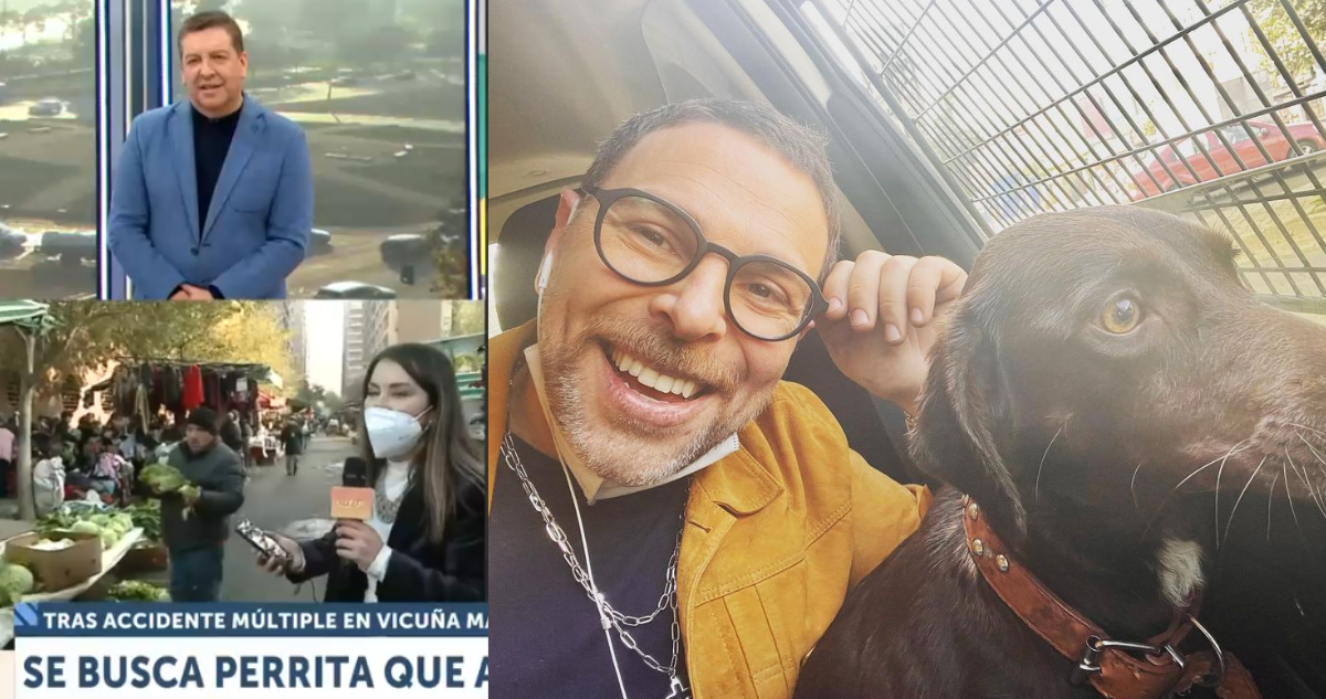 Búsqueda de Popy en los matinales