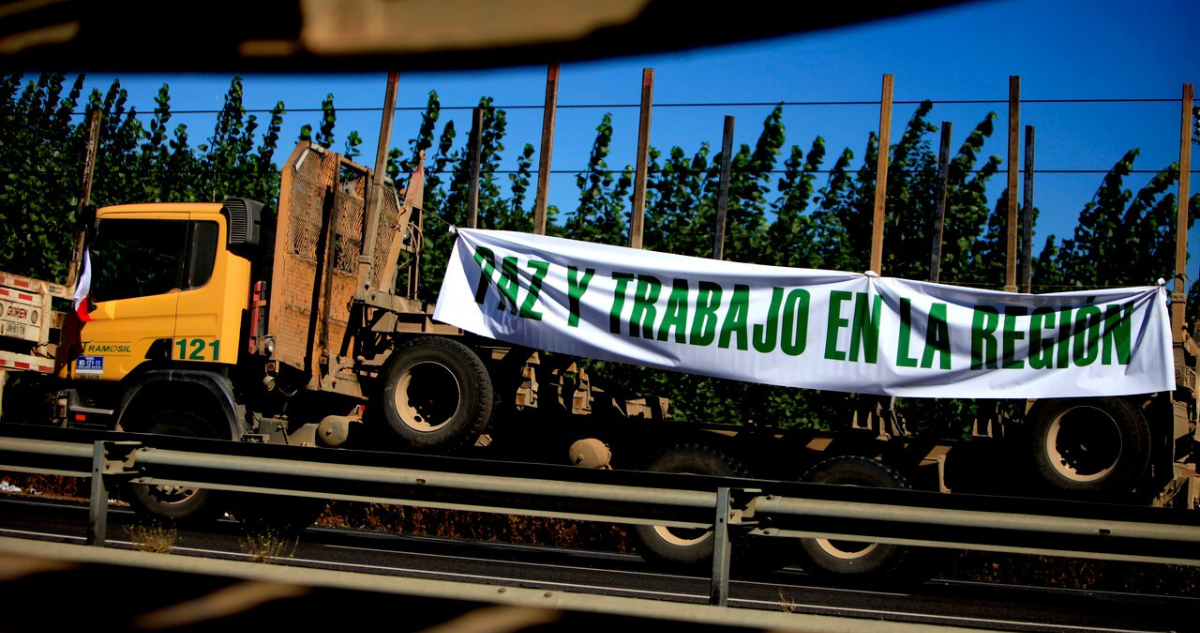 protestas-biobio-forestales