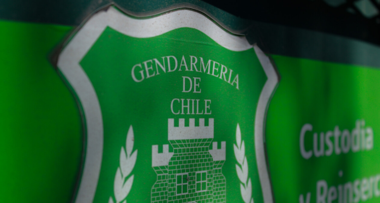 incauta-paloma-en-cárcel-de-osorno