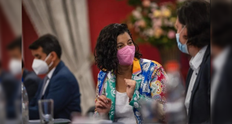 daniela-dresdner-delegada-presidencia-en-el-bio-bio