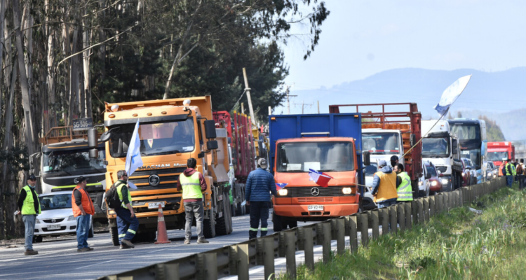 manifestaciones-forestales-ruta-5