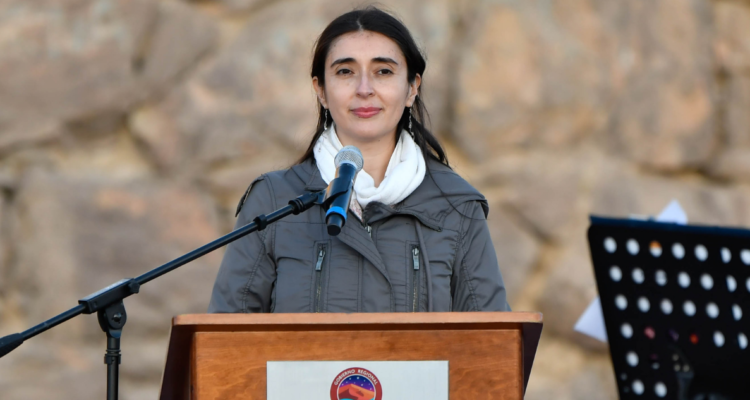 borrador nueva Constitución