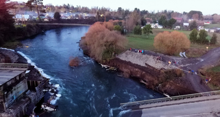 licitación nuevo puente Cancura