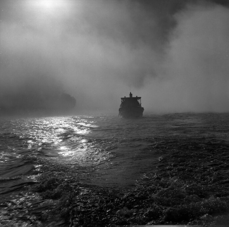 Río Valdivia en la niebla Fotógrafo Mario Guillard Pérez-Villamil
