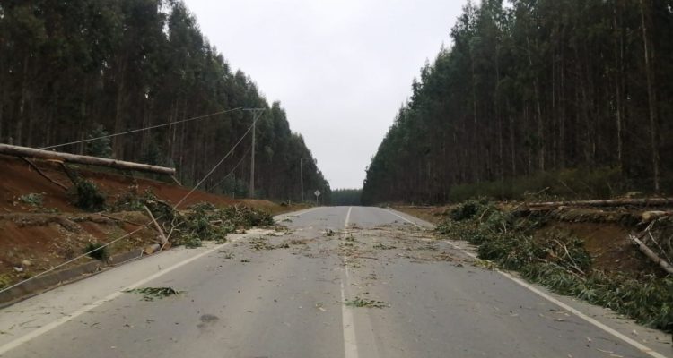 Despeje de ruta en Arauco Lebu