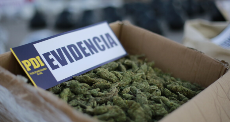 Sentencian a hombre por plantaciones de marihuana en su domicilio