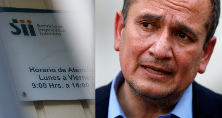 SII refuta a gobernador del Bío Bío: detalla 16 querellas por ilícitos ligados a madera robada