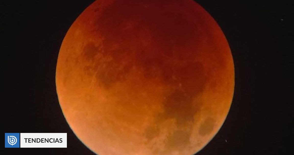 Reportaje imágenes prime de «Luna de Sangre» en Chile: fue vista desde distantes ciudades |  tecnología