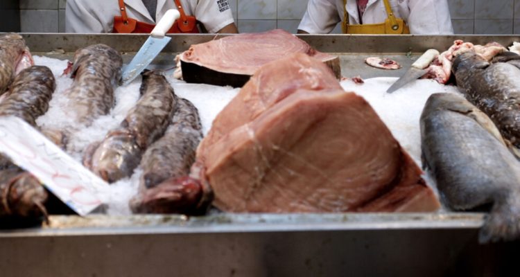 Tiburón tipo albacora: investigación revela posible fraude en venta de pescados en Santiago