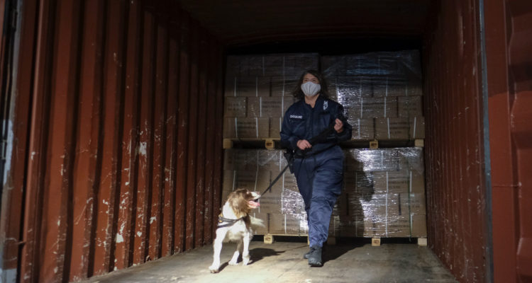 Tráfico de droga en Europa reportan incautación récord de cocaína y aumento de su producción