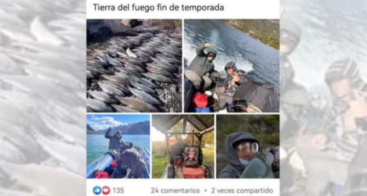 Fotos de pesca ilegal en Tierra del Fuego