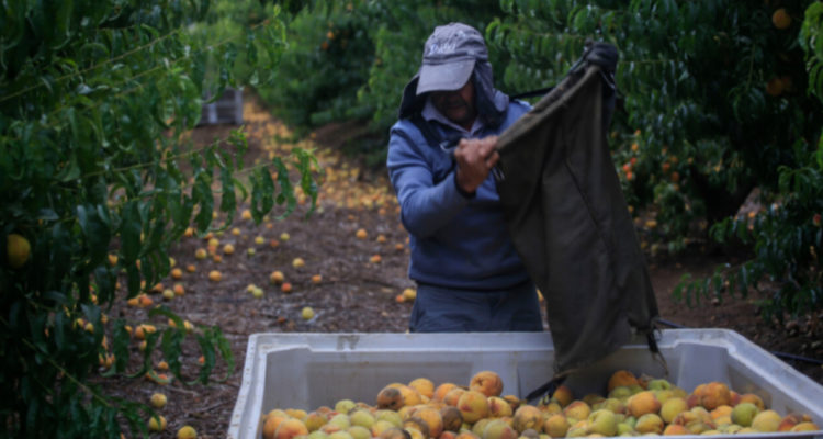 Valparaíso autoridades constituyen en Quillota la Mesa Agrícola para combatir crisis hídrica