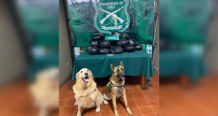 Valparaíso detienen a hombre con 21 kilos de droga en el maletero de su vehículo