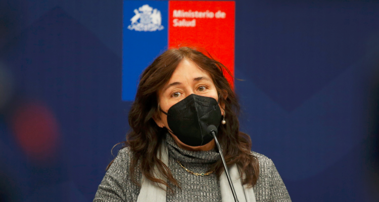 Jefa del Minsal, María Begoña Yarza