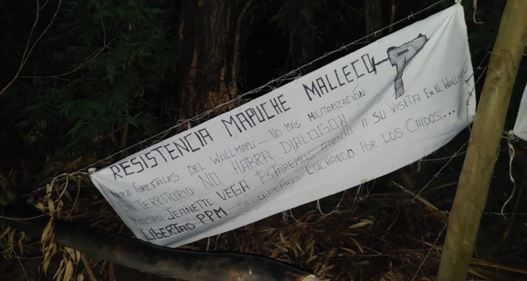 Ministra Vega baja el perfil a amenazas por la RMM.