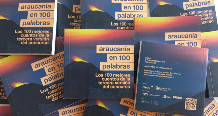Araucanía en 100 palabras