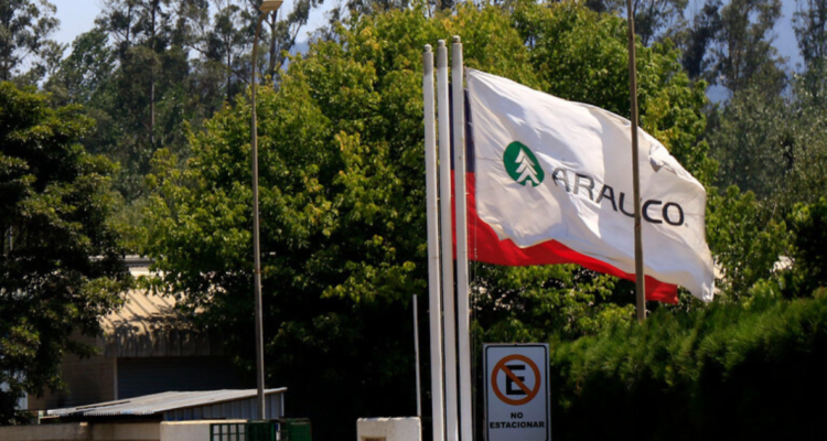 CPC Bío Bío reacciona por megainversión de Arauco en Brasil.