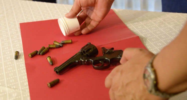 Paz Ciudadana dice que tener armas en casa no previene delitos: “No evitan que entren delincuentes”