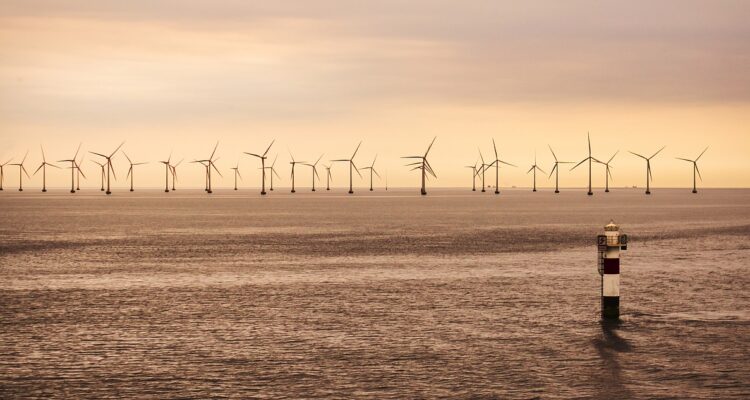 Foto parque de energía eólica marina