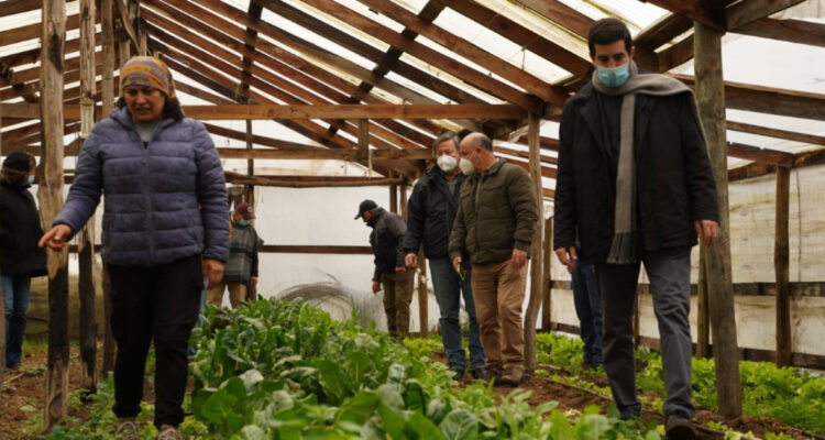 Balance Plan Siembra por Chile