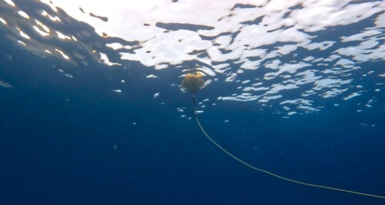 Boya en arrecife Wellington de Islas Galápagos